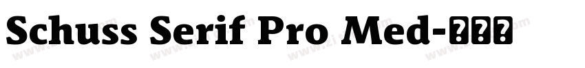 Schuss Serif Pro Med字体转换